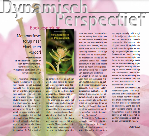 Boekbespreking in Dynamisch perspectief (juni 2012)